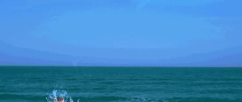 Sea World Ocean GIF