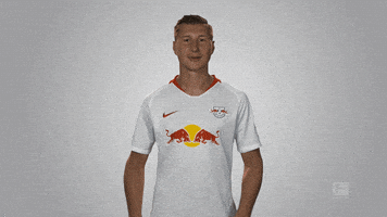 rb leipzig GIF by Bundesliga