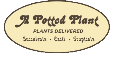 APOTTEDPLANT Sticker