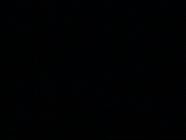 King Yahya GIF