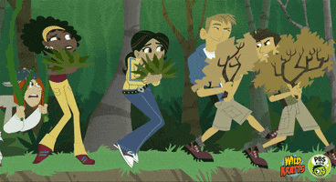 scared wild kratts GIF by PBS KIDS