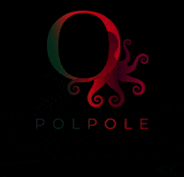 Poledanceacademypraha poledance polpolestudio polpole polpolegirls GIF