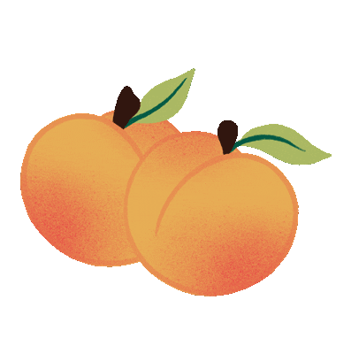 Blush Lane Organic Market Sticker