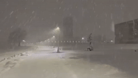 Heavy Snow Falls Over University of Albany Campus