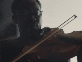 Black Violin GIF