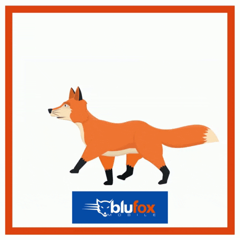 Fox Training GIF by Blufox Mobile