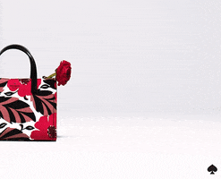 Oh My Gosh Hello GIF by kate spade new york