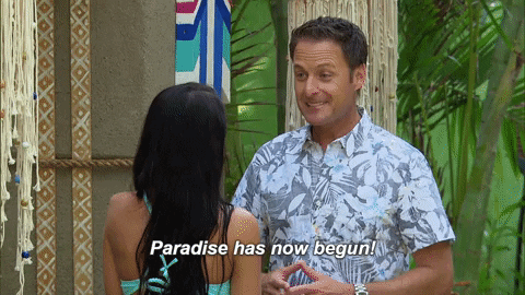 bachelor in paradise
