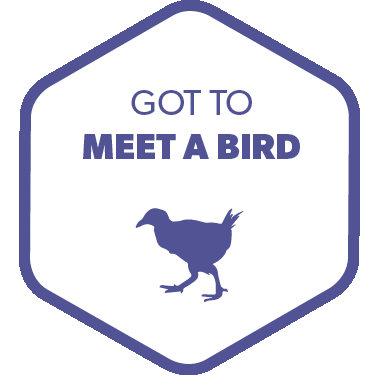 Adventure Go Outdoors Sticker by NZMountainSafety