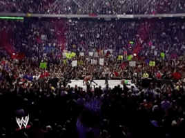 Triple H Wrestling GIF by WWE