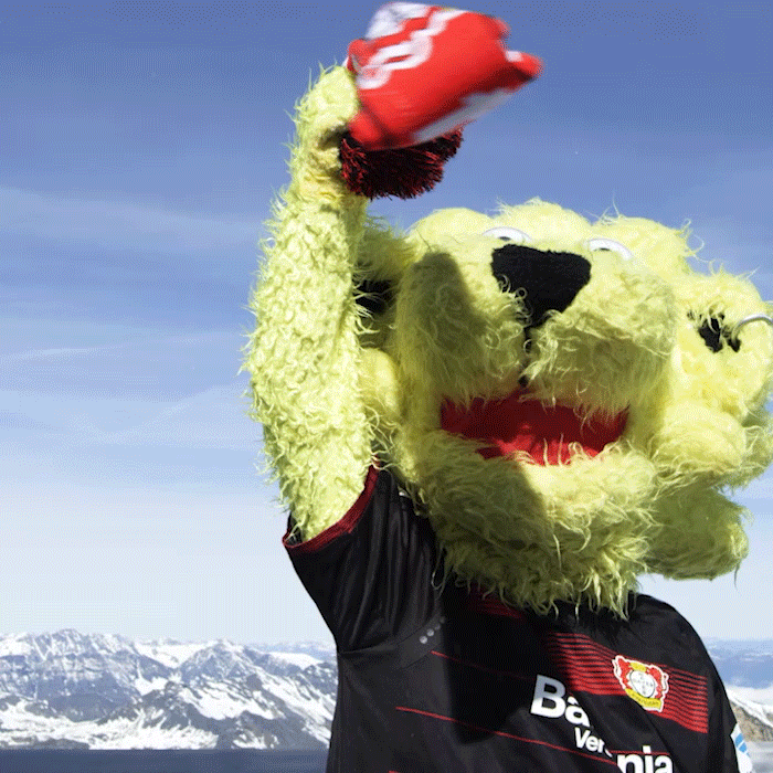 bayer 04 brian the lion GIF