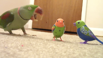 source.gif