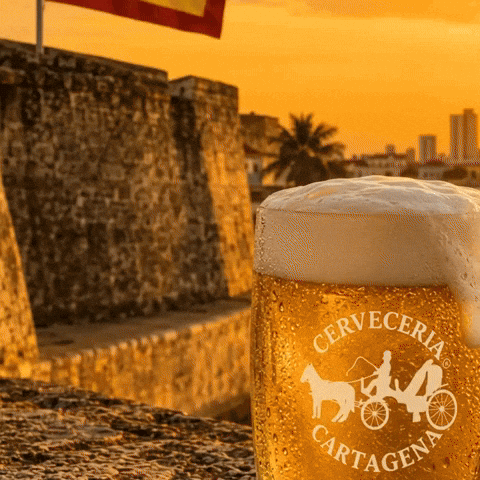 Sol Cerveza GIF by CERVECERIA CARTAGENA
