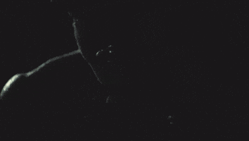 Dance GIF