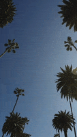 200.gif?cid=fc005b08c5f9e3e2a49810c5cc45063658900bb20d9c3773&rid=200.gif&ct=g