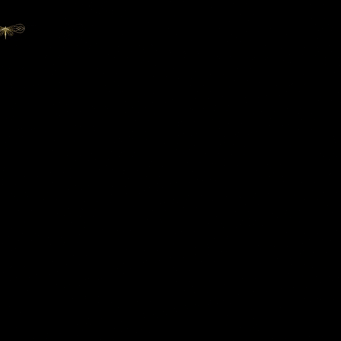 Ada Cantina Urbana GIF