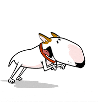 pix Animated Dog Running Gif forrest gump running gif by jimmy the