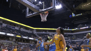 count it indiana fever GIF by WNBA