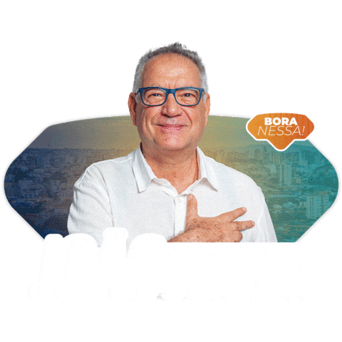 Vereador João Donizeti Sticker