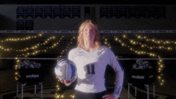 Tommie Volleyball GIF by Tommie Athletics