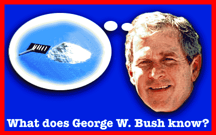 george w bush