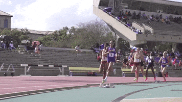 Track And Field Gold GIF by LSU Tigers