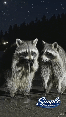 Night Time Water GIF
