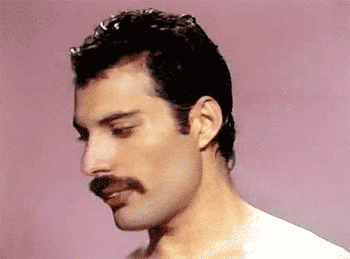 Resultado de imagem para Freddie Mercury gif