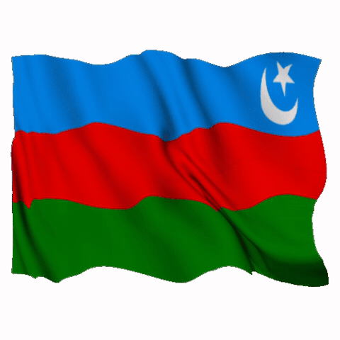 Flag Iran GIF