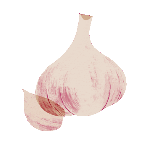 Vegetable Garlic Sticker by Erstwilder