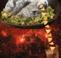 chips chipotle GIF