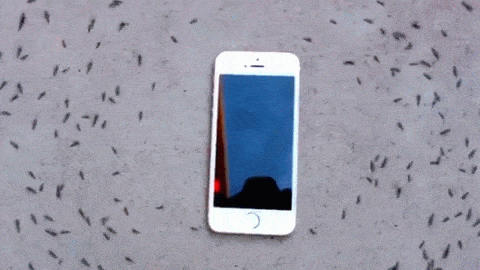cellphone GIF