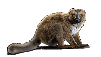 Maki Aida Sticker by AIDA_Cruises