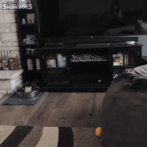 Sneak Attack Jump GIF by Gone to the Snow Dogs