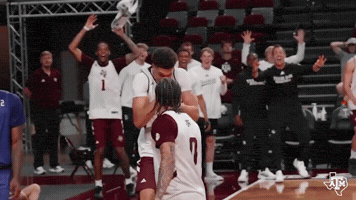Bucky Ball Whoop GIF by Texas A&M Athletics