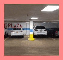 Fido Fid0 GIF