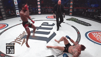 flaunt mixed martial arts GIF by Bellator
