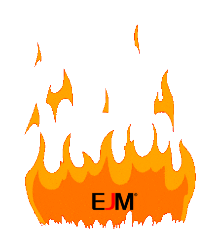 Ejm Indo Sticker by EJM