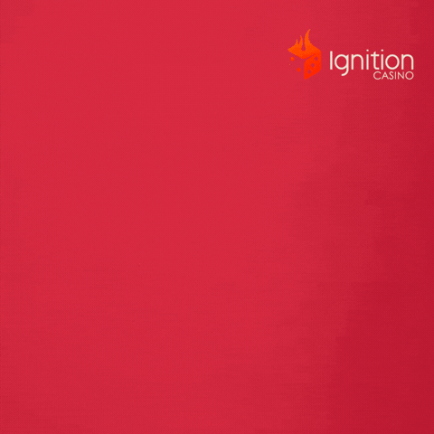 Card Game Win GIF by Ignition Casino