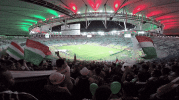 leandroalves  GIF