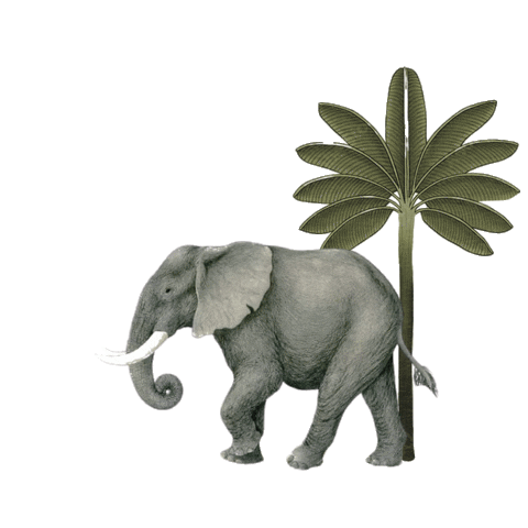 Rewild Sticker by Anita Dongre