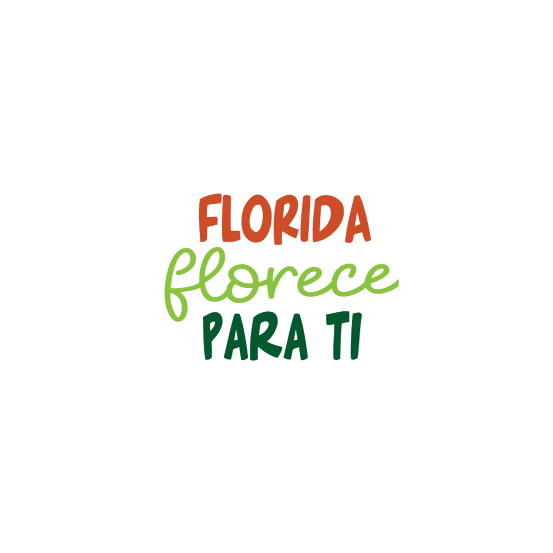 Florida Parque Comercial Sticker
