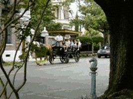200.gif?cid=fc005b083e12fa794a1b8dd9678146633c56dbdd967b5d03&rid=200.gif&ct=g