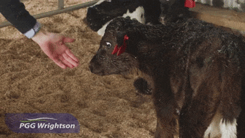 PGG Wrightson Retail & Water GIF