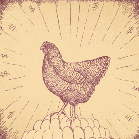 Chicken Success GIF