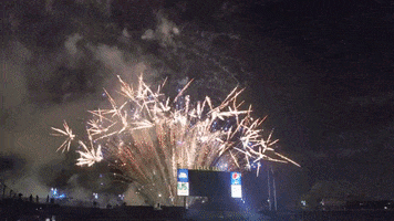 GIF by Columbia Fireflies