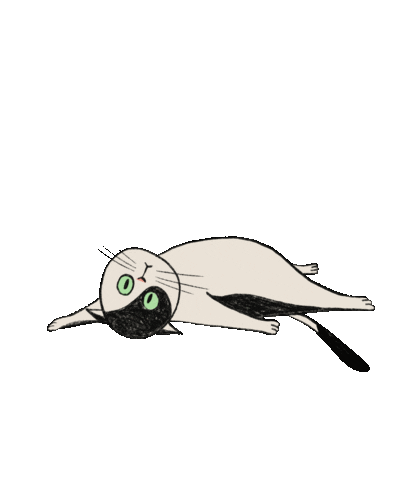 Cat Sticker