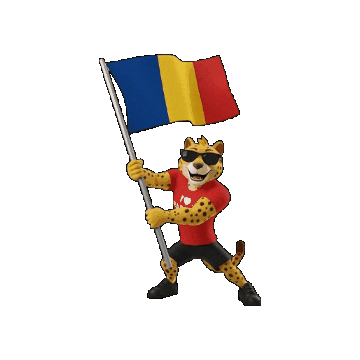 Romania Sticker by Padbol official