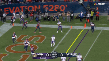 Celebration Touchdown GIF by Minnesota Vikings