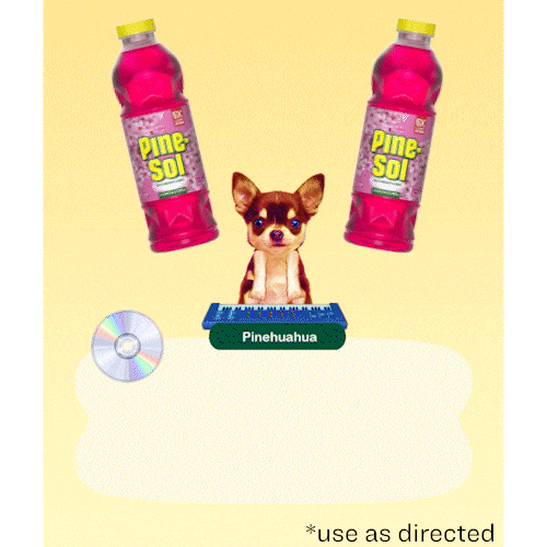 Chihuahua Pine GIF by Pine-Sol